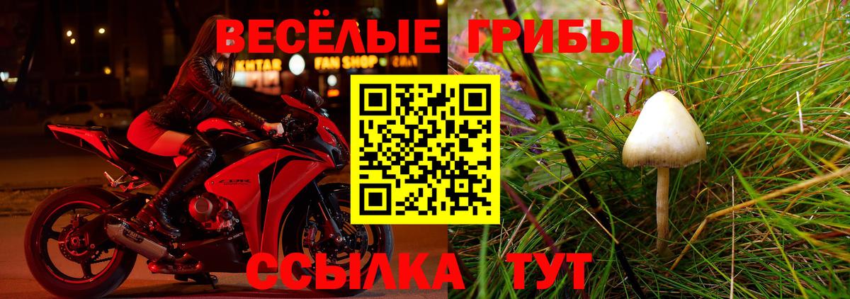 Галлюциногенные грибы Psilocybine cubensis  Вход с VPN  Краснотурьинск 